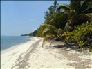 Beach at Bodden Town